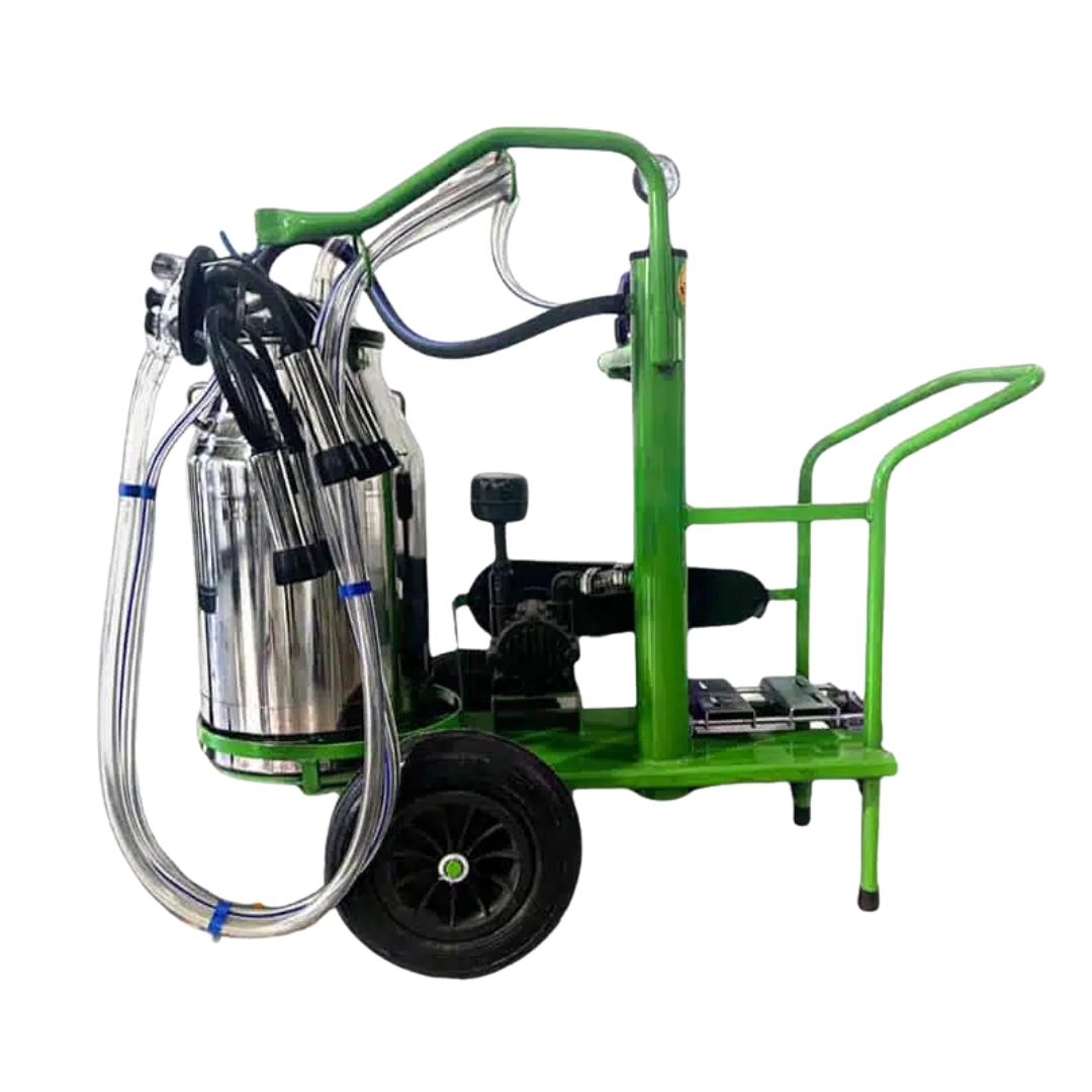 Dual Motor Eléctrico 1hp 1800rpm - Imagen 2